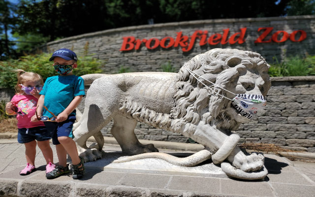 I Took My Family to Brookfield Zoo on Friday. Here’s How It Went.