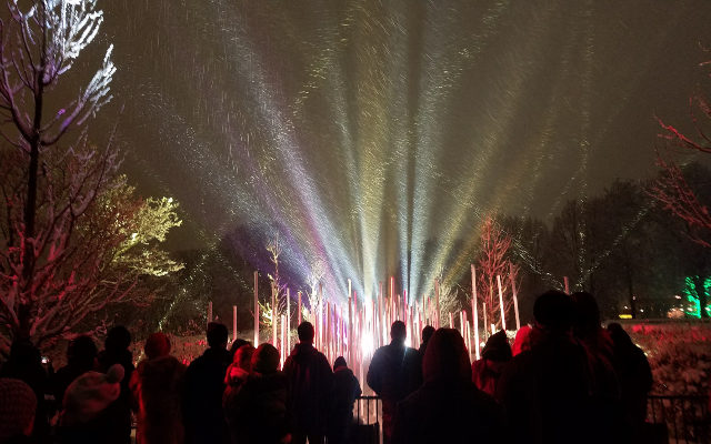 Morton Arboretum’s “Illumination” Holiday Lights Show Pivots to Drive-Thru this Winter