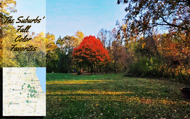Where to Go To Check Out the Suburbs’ Best Fall Colors