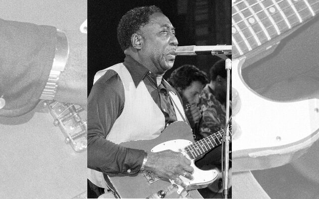 FOR SALE: A Late Chicago Blues Legend’s Suburban Home Could Be Yours!