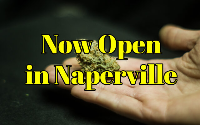 Naperville’s First Recreational Pot Dispensary Holds Grand Opening Today, Donates Profits