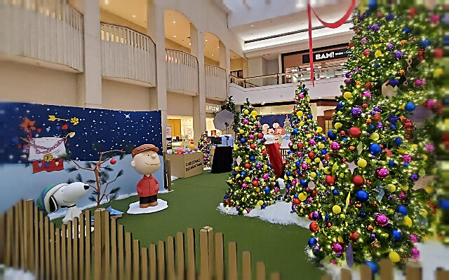 A Behind the Trees Look at the Peanuts Themed Christmas Experience, Including Pictures with Santa, at Fox Valley Mall!