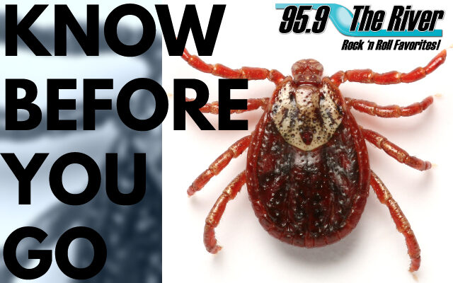 Know How To Avoid, Remove Ticks If You Are Planning on Being Outdoors This Weekend