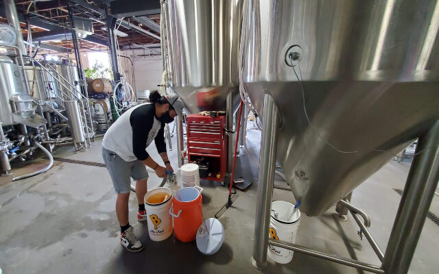 Reflections on a Boil Order: Werk Force is a Brewery for the People