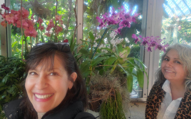 The Orchid Show – Worth the Drive