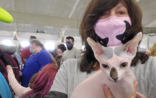 Fun at The Cat Show This Weekend!