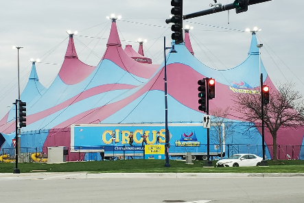 The Circus Is In Town!