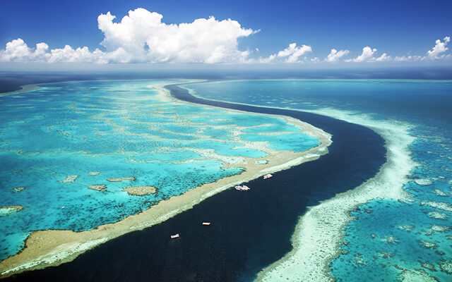 The Great Barrier Reef! Is There A Problem?