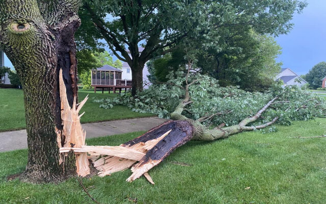 Naperville Offering Special Brush Collection After Weekend Tornado