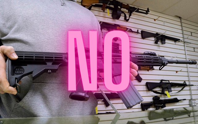 Naperville Votes To Ban Sale of Assault-Style Weapons