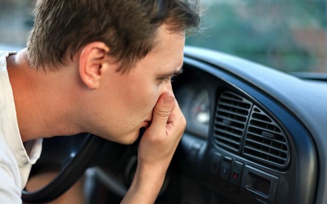A Study Found “New Car Smell” Causes Cancer