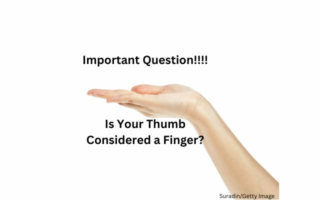 Is Your Thumb Considered a Finger?