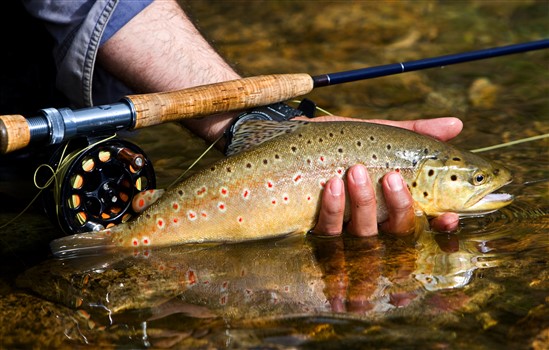 <h1 class="tribe-events-single-event-title">Oak Brook Trout Unlimited 50th Anniversary</h1>