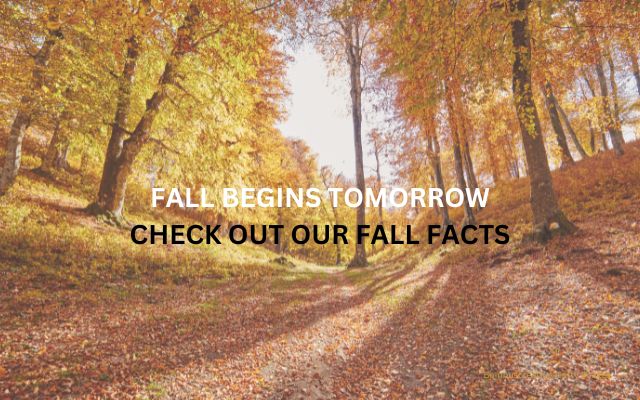 Tomorrow is the First day of Fall...what you need to know