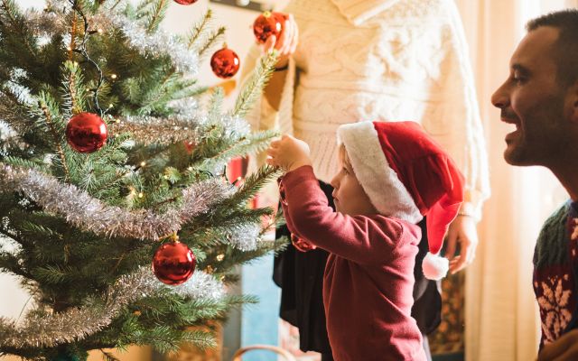 What is the best Day to put up your Christmas Tree?