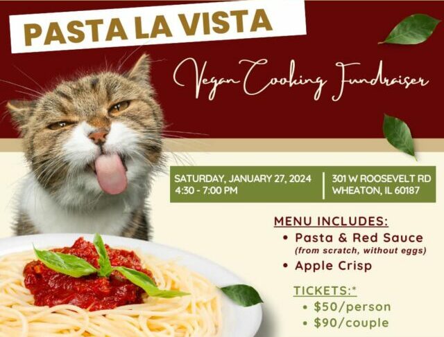 <h1 class="tribe-events-single-event-title">Pasta La Vista – Vegan Cooking Class to Benefit St. Sophia’s</h1>